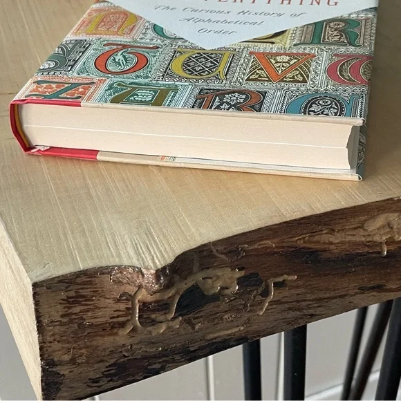 JUST IN A Place for Everything Book History Alphabet Linguistics Language Nonfic - Picture 5 of 9